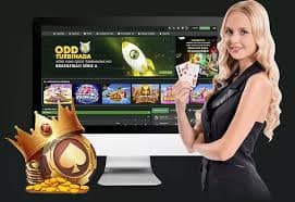x680b Live Casino